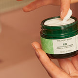 Aloe Day Cream