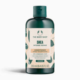 Shea Balsam