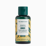 Ginger Anti-Flass Sjampo