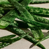 Aloe Deodorant