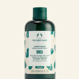 Shea Balsam